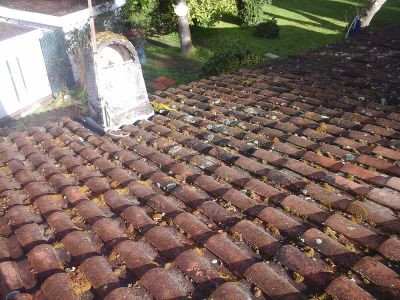 Nettoyage de toiture à Martillac (1)